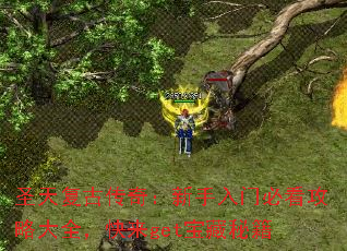 ʥ츴Ŵ棺űؿԴȫgetؼ