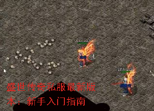 ʢ˽°汾ָ