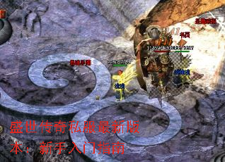 ʢ˽°汾ָ