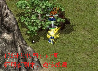 176봫棺¸תս