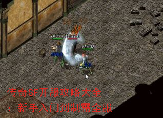 SFԴȫŵưȫ