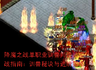 ħ֮սְҵѱʦʵսָϣѵؾײ