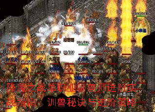 ħ֮սְҵѱʦʵսָϣѵؾײ