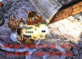 ׸ֻ洫˽űؿԣ㳣ɻ