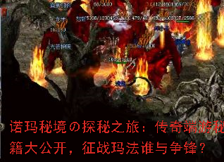ŵؾ֮̽ãؼ󹫿ս귨˭棿