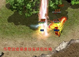 Ϸϡ䱦ȡ