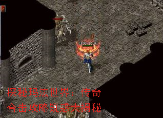 ̽귨磺ϻɻ