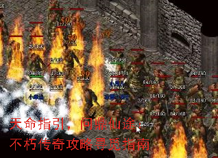 ָʶ;ഫ湥Ѱָ