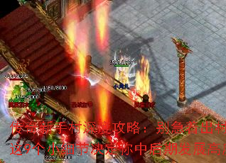 ִȹԣų壡9Сϸھкڷչ߶