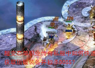 ְ̬ҵ˽οٻȡװɱBOSS