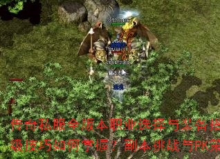 ˽ȫ汾ְҵѡװ乥ԣգսPKкβͬ