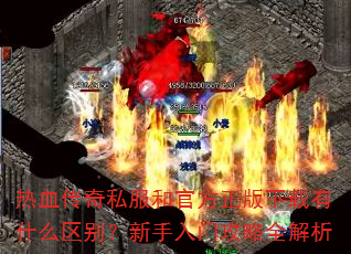 Ѫ˽͹ٷʲôŹȫ