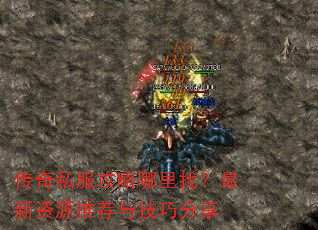 ˽ңԴƼ뼼ɷ