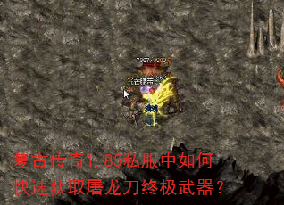 Ŵ1.85˽οٻȡռ