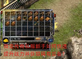 ΢䴫˽οսȡϡװ