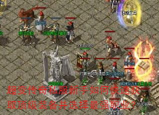 䴫˽οٻȡװѡǿְҵ
