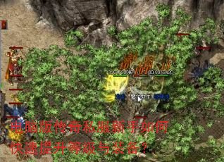 ԰洫˽οȼװ
