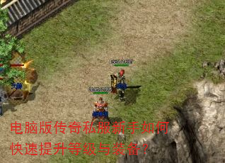 ԰洫˽οȼװ