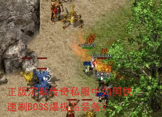 Ĭ˽οˢBOSSƷװ