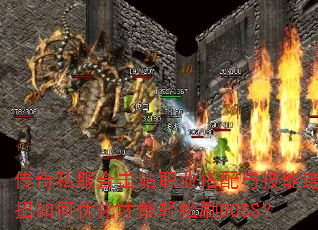 ˽ϻվְҵ뼼ŻˢBOSS