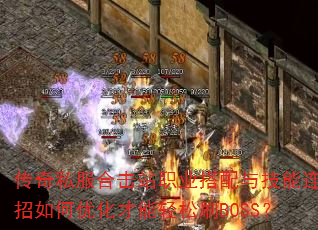 ˽ϻվְҵ뼼ŻˢBOSS