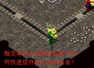 䵥ְҵ˽οսˢװ